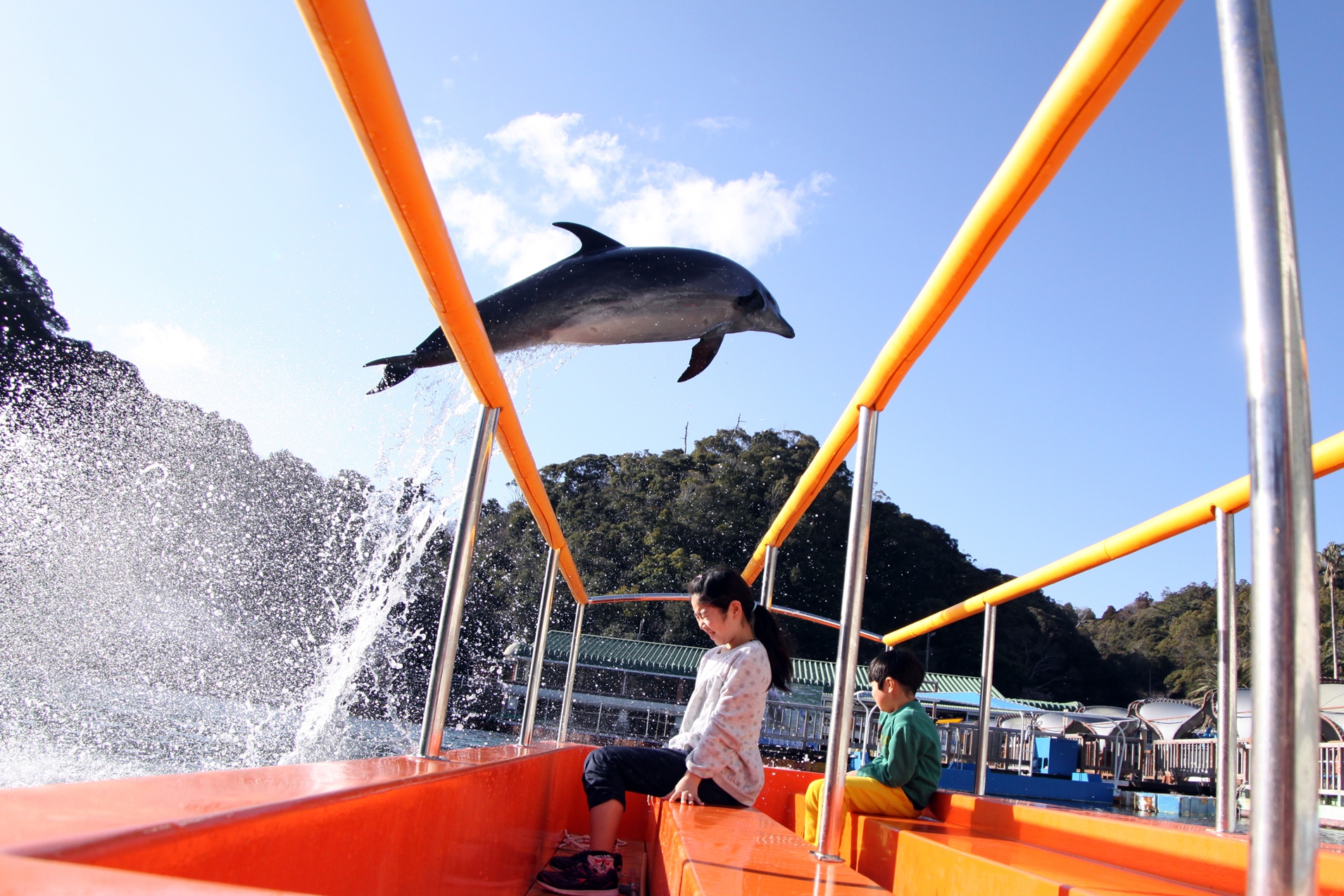 下田 海中 水族館